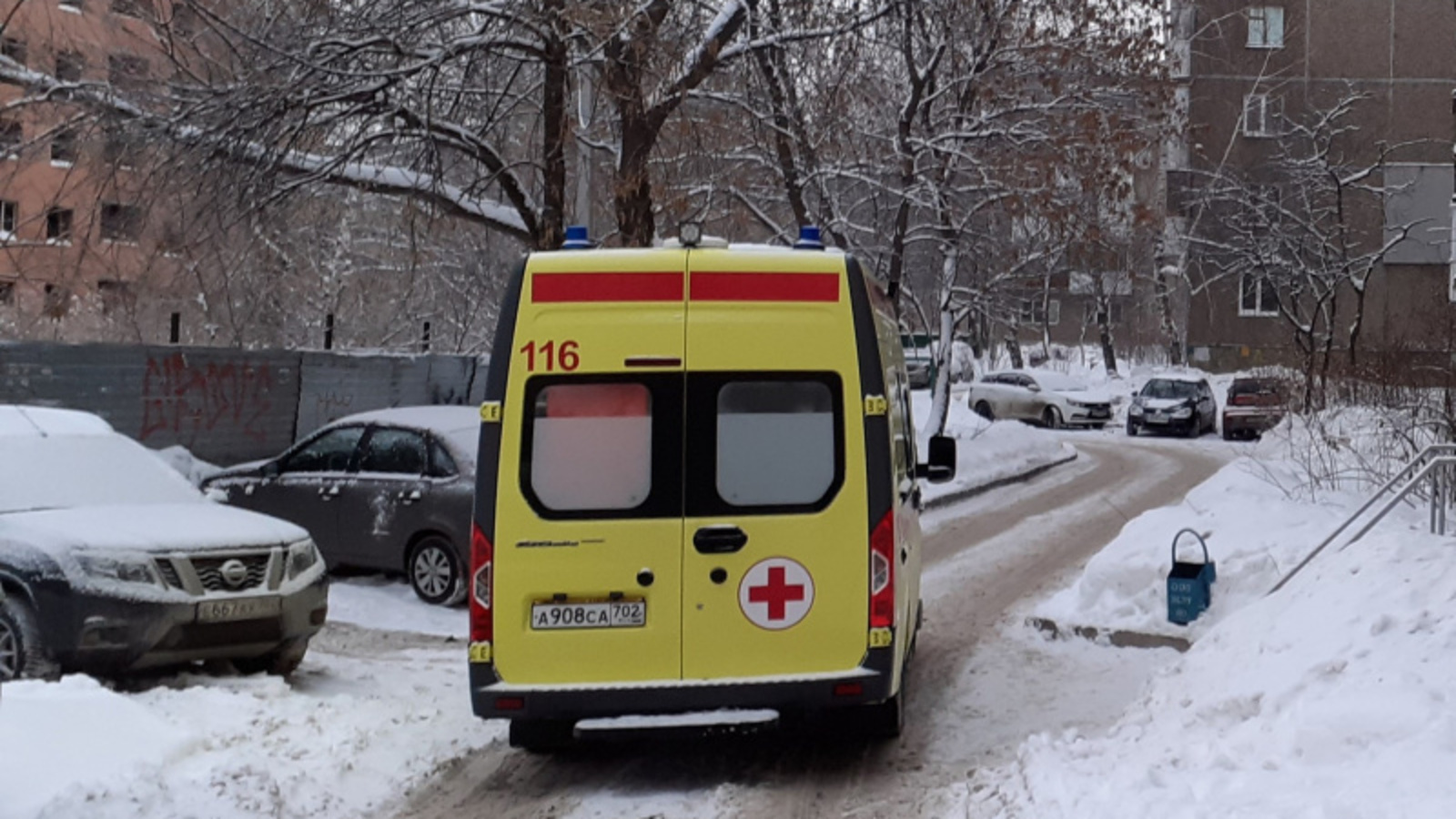 Фото автора.