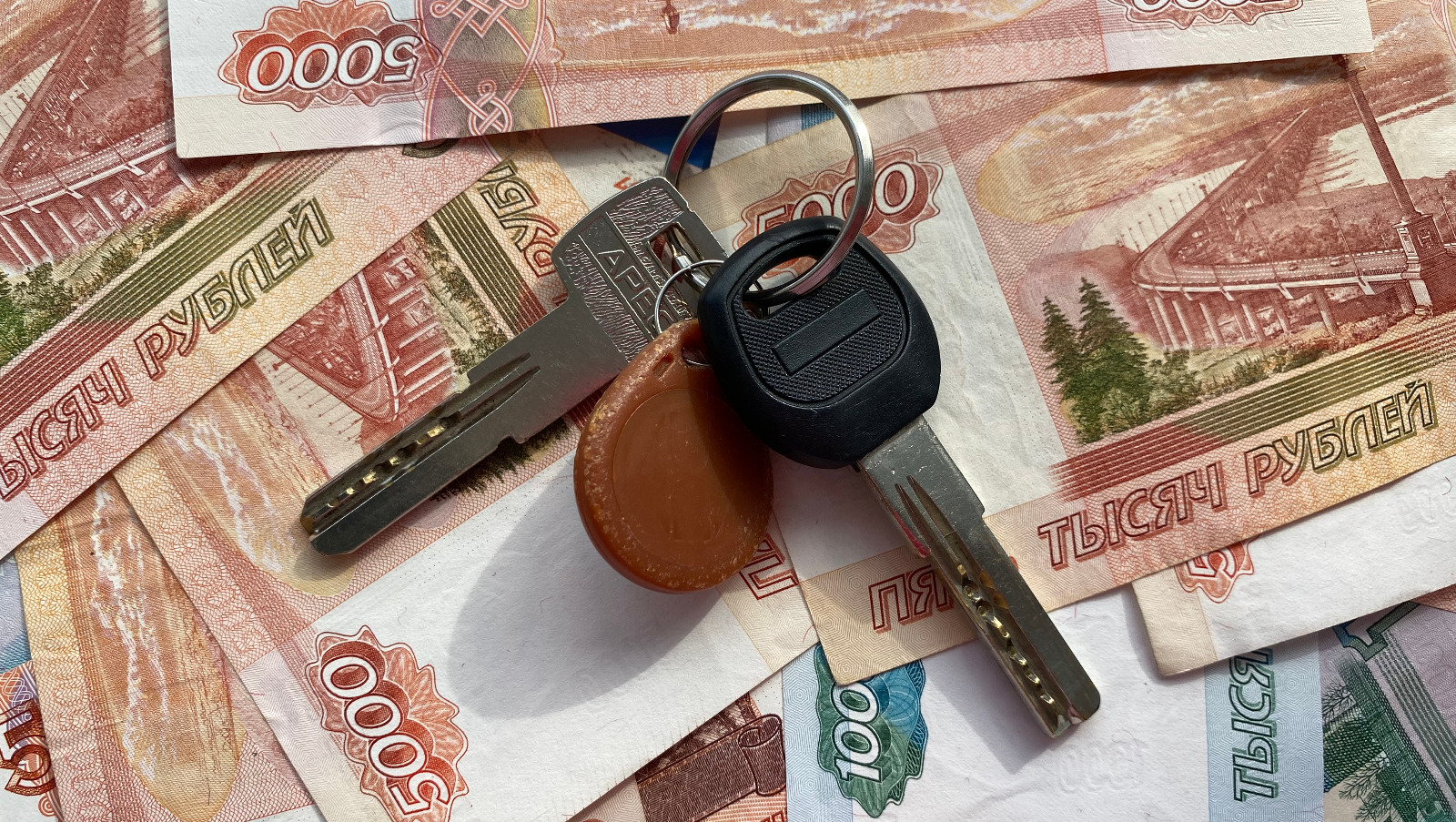 Елены Колоколовой.