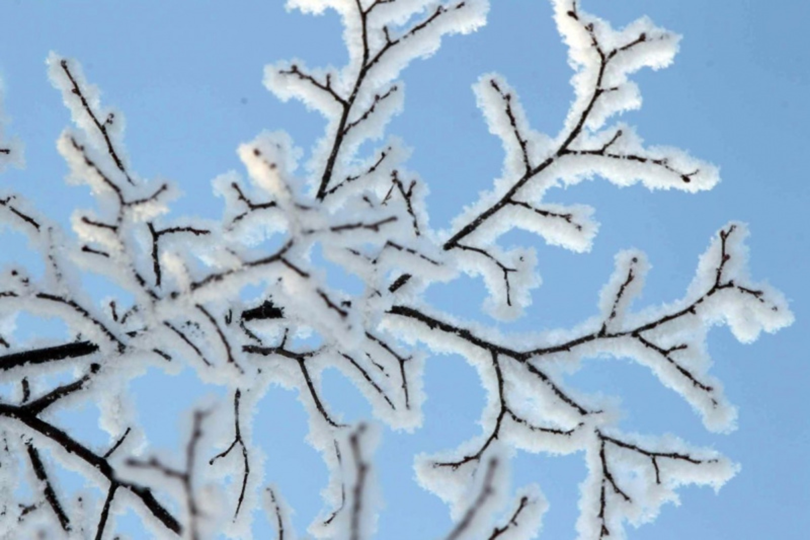 Фото Олега Яровикова.