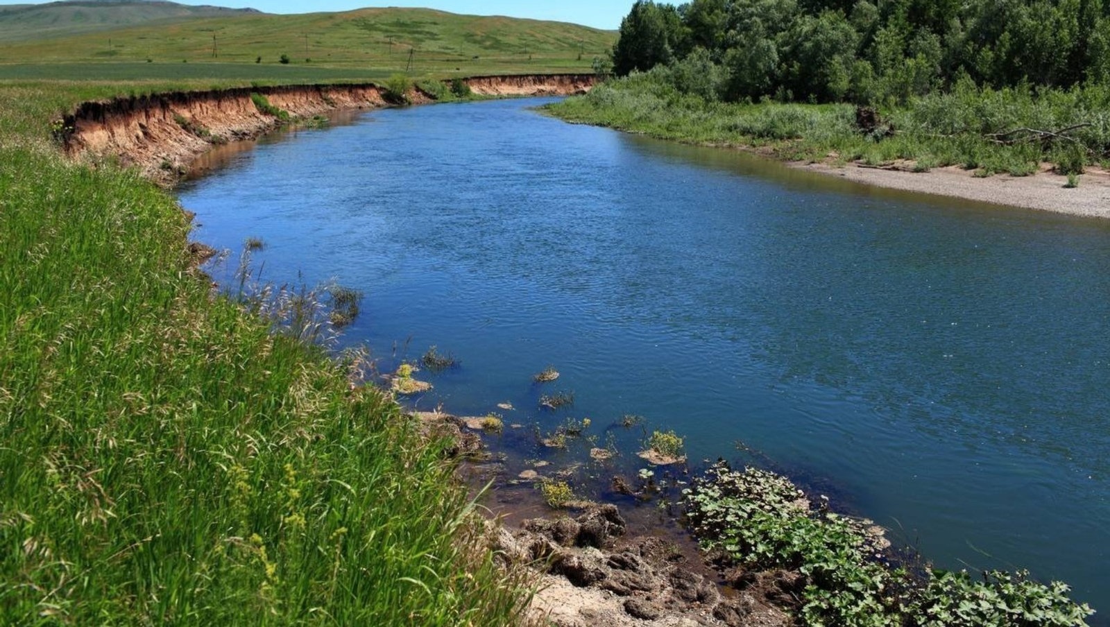 Госкомитет РБ по ЧС.