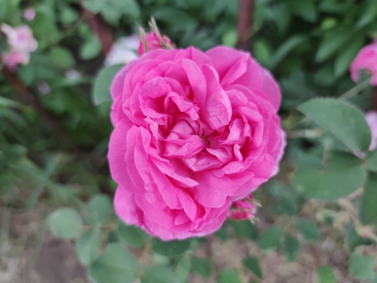 Дарьи Святохиной.