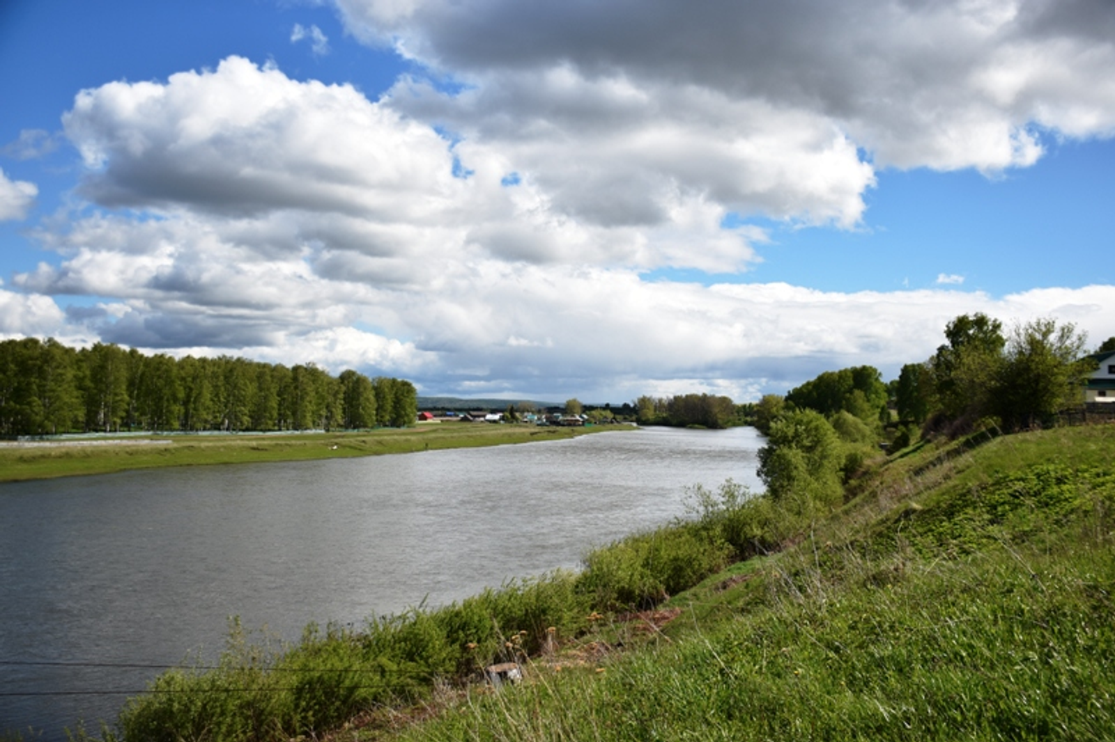 Фото автора.