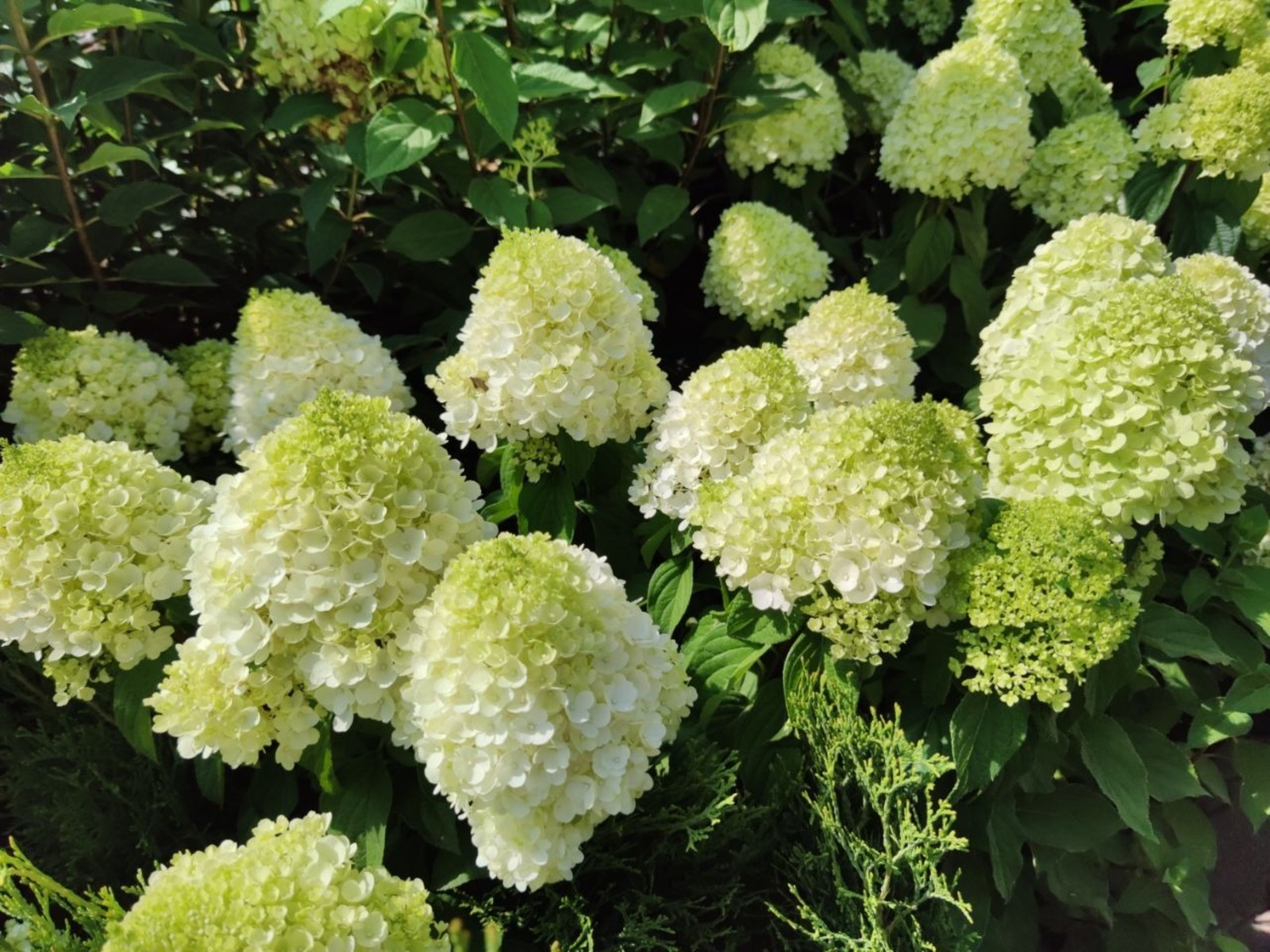 Дарьи Святохиной.