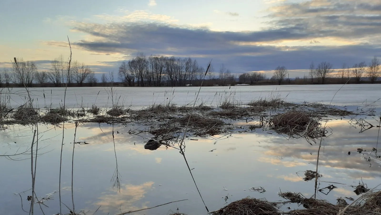 Владимира Шакиева. «Общественная электронная газета».