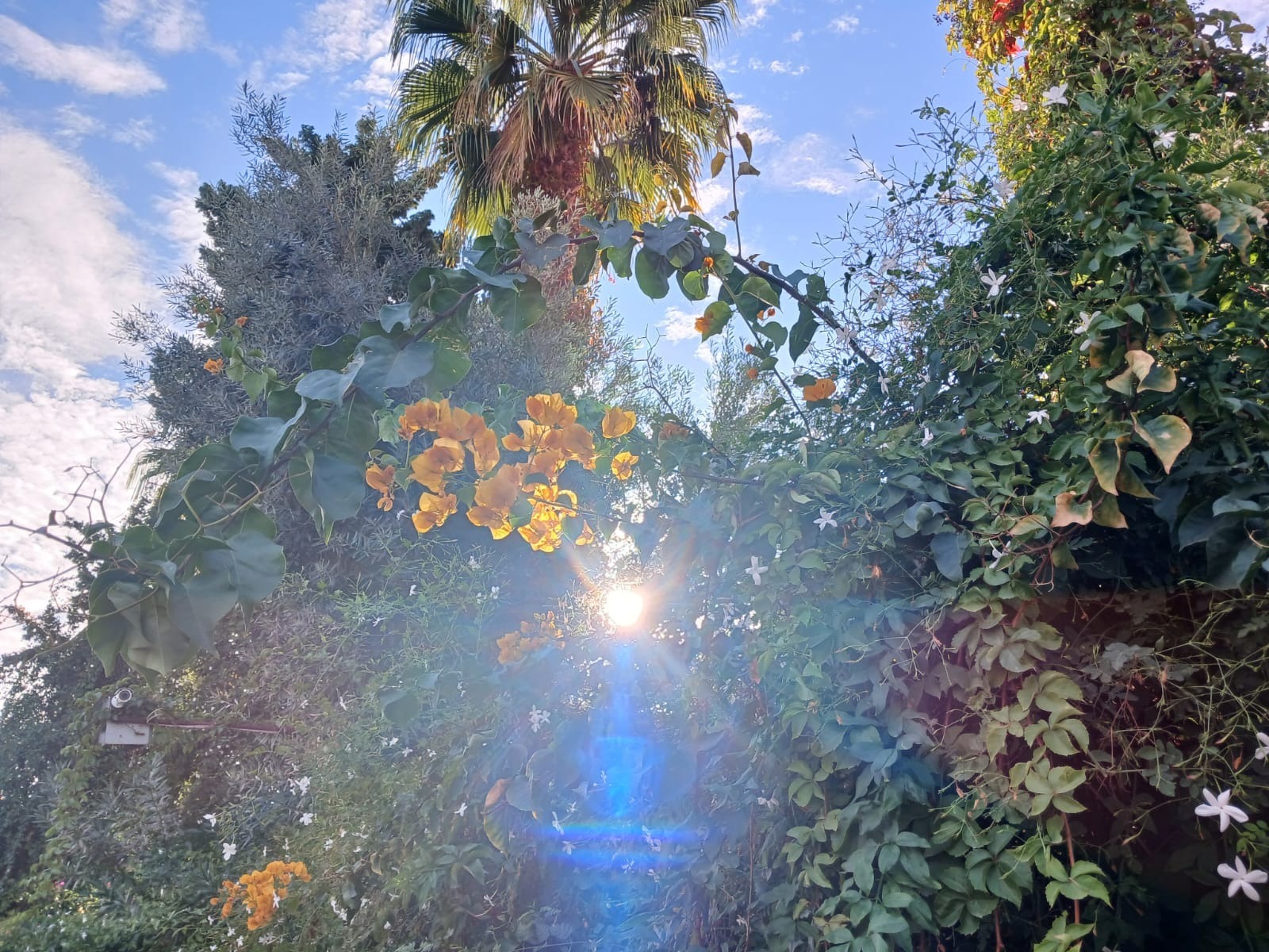 Васили Саитовой. "Общественная электронная газета".