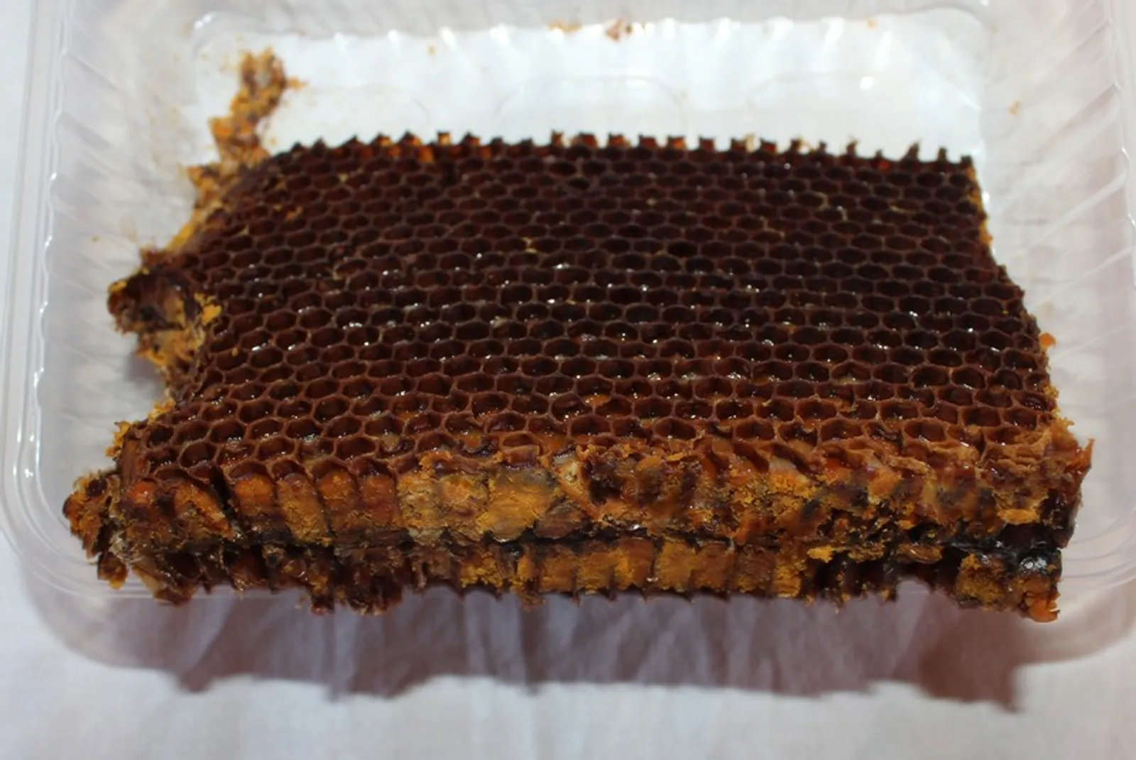 Фото автора.