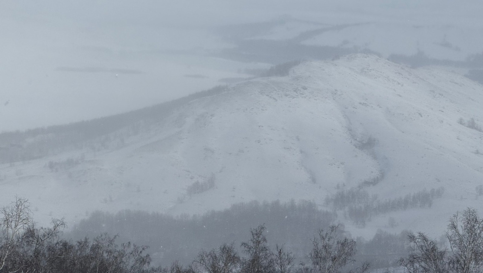 Елены Колоколовой.  «Общественная электронная газета».