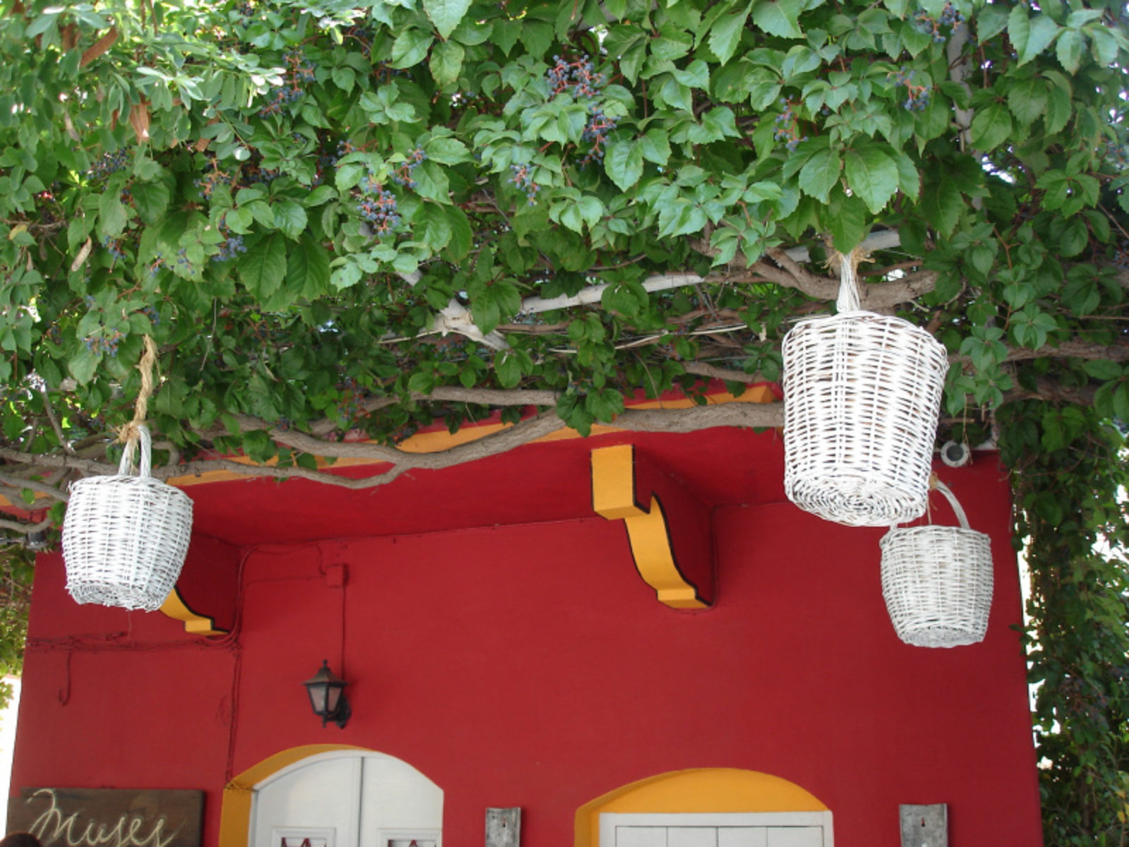 Фото автора.