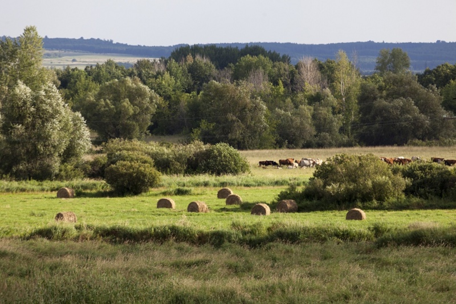 Фото Фаиля Абсатарова.