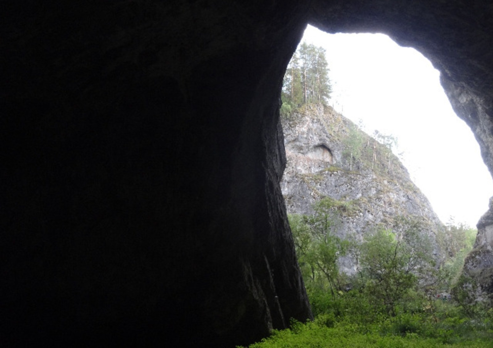 Елены Колоколовой.