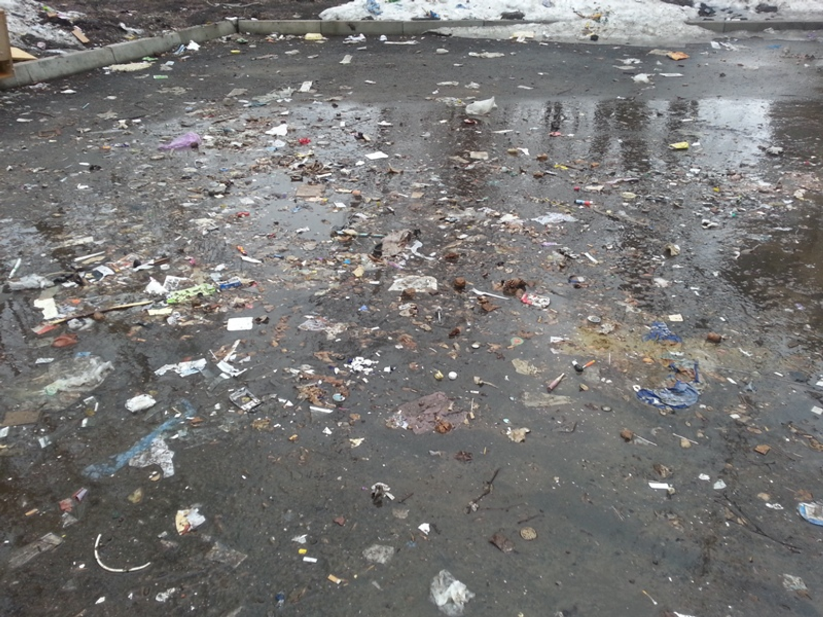 Фото автора.