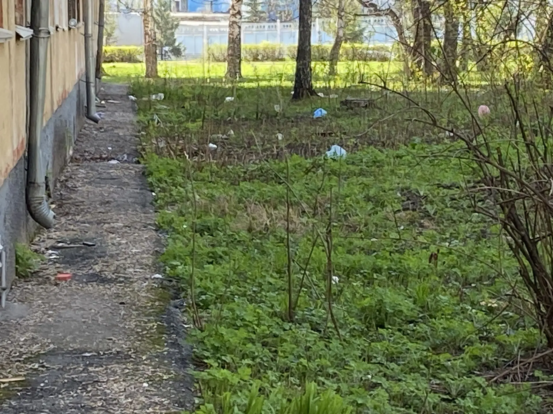 предоставлено жильцами дома. предоставлено жильцами дома.