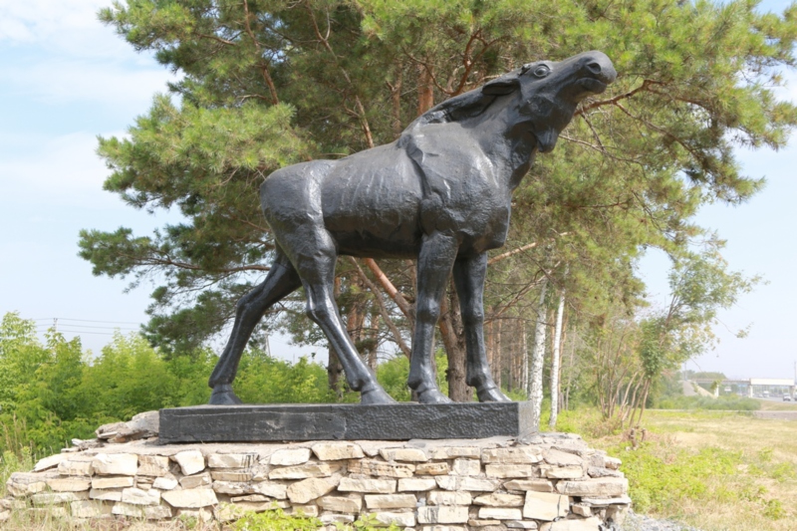 Фото Андрея Старостина.