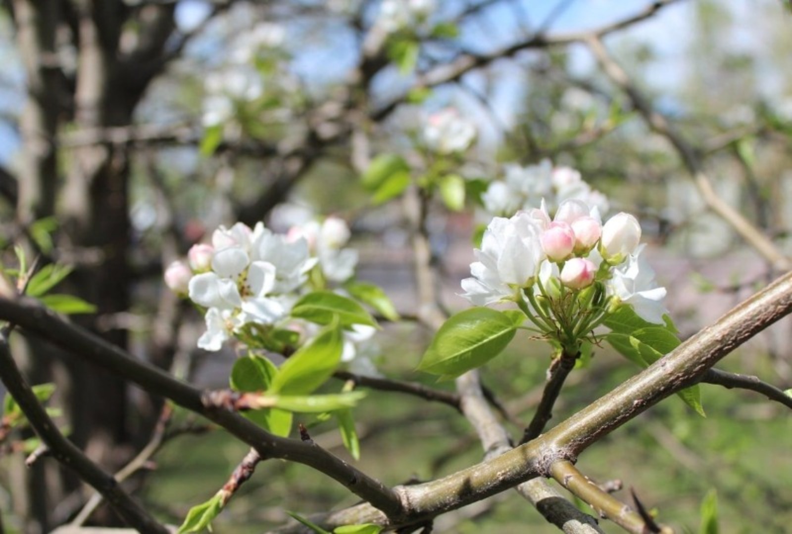 Дарьи Святохиной.