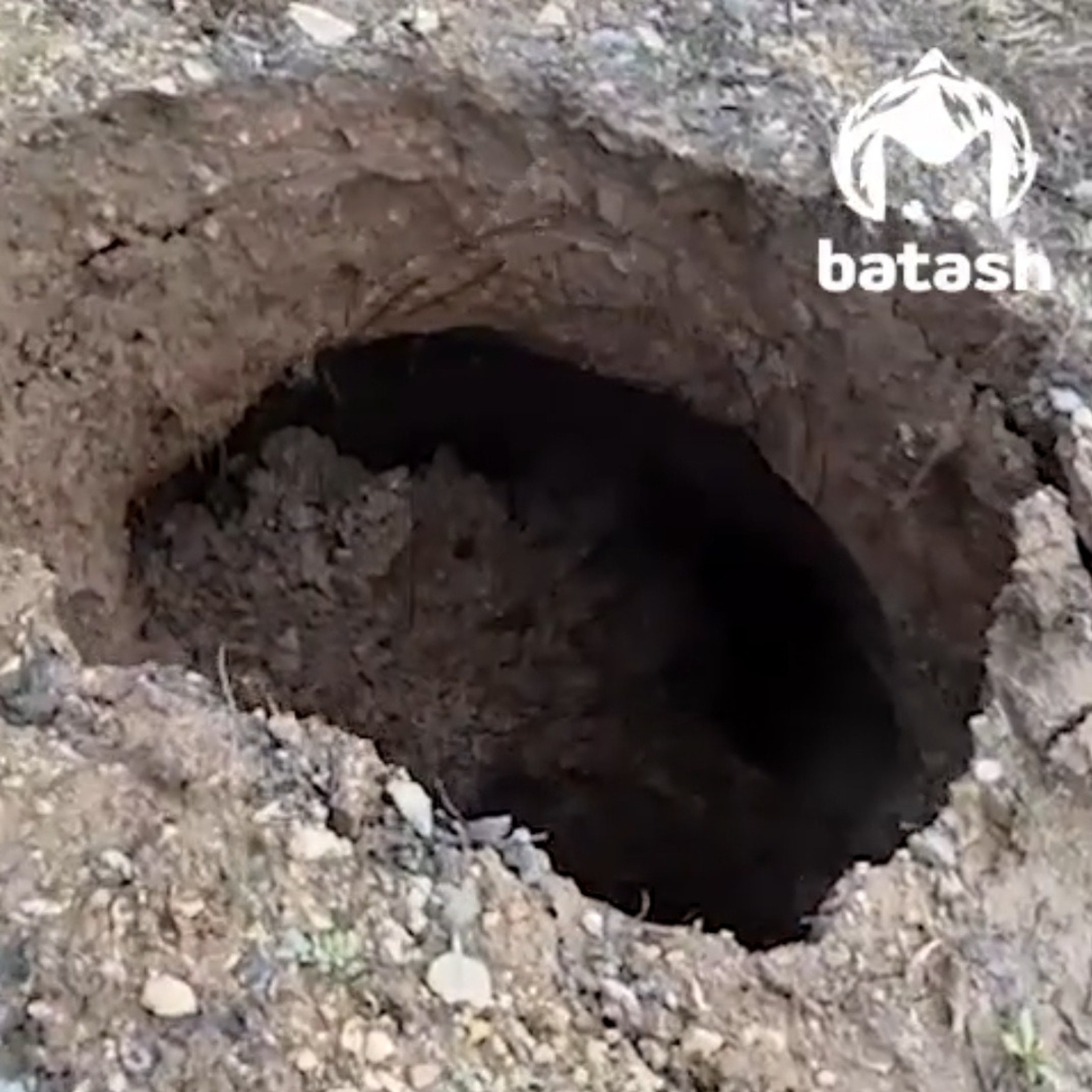 скриншот видео. канал Mash Batash.