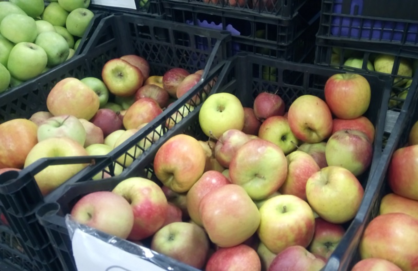 Фото Васили Саитовой.