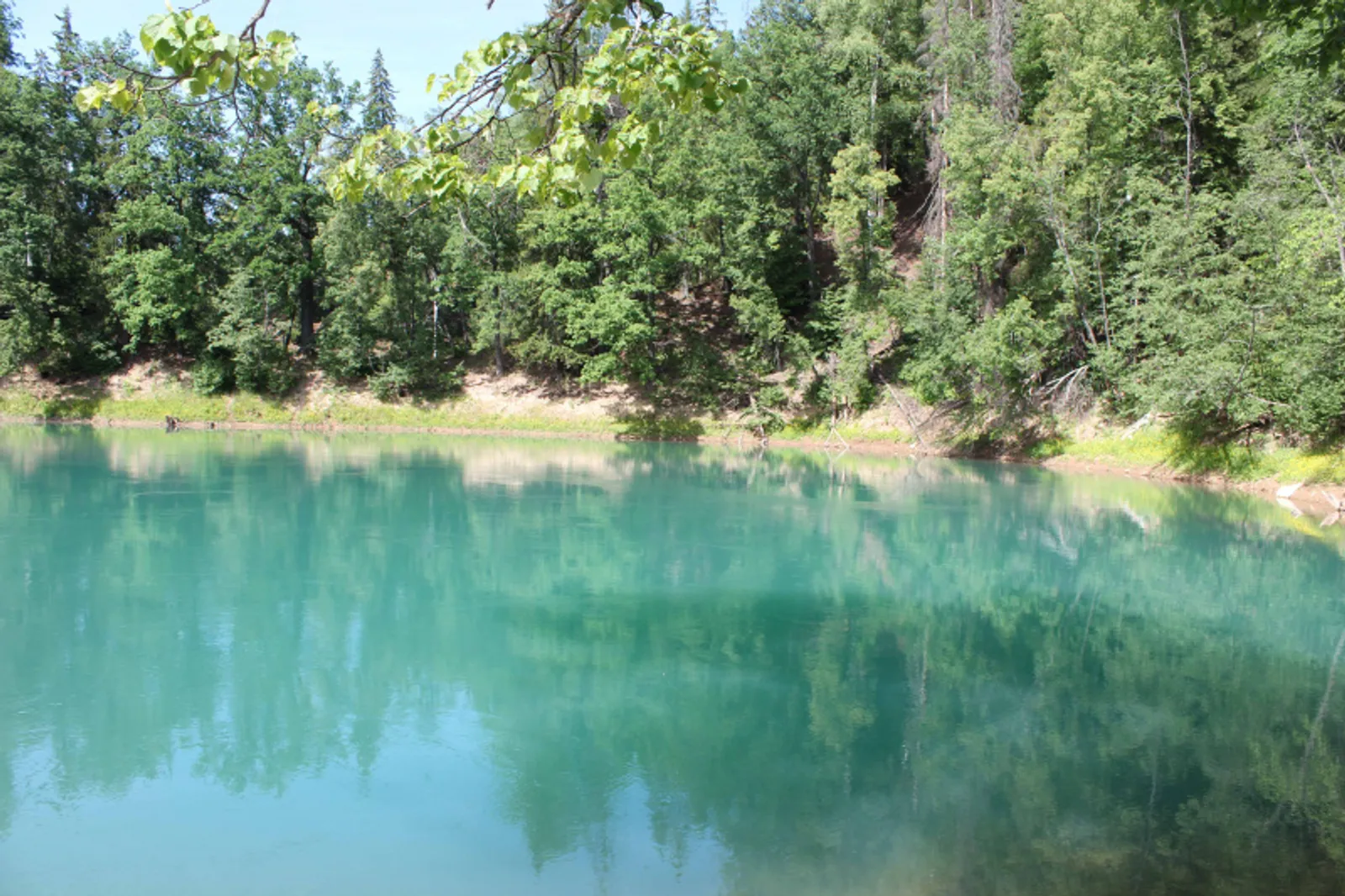 Фото автора.