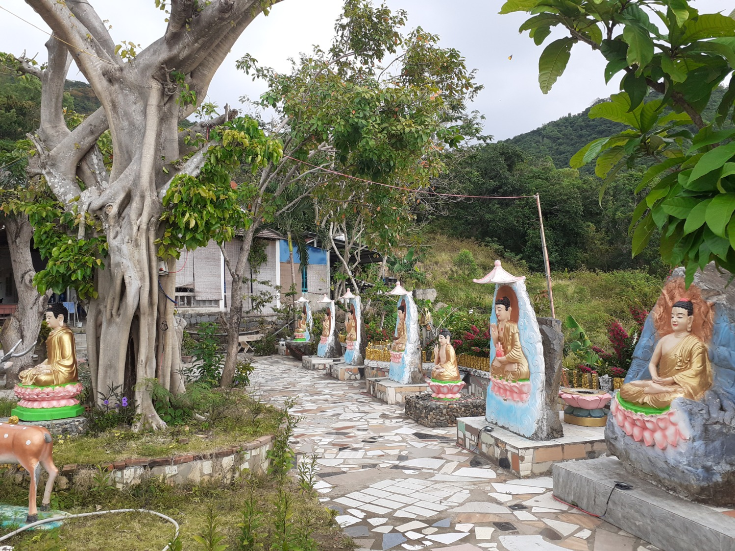 Владимира Шакиева. «Общественная электронная газета».