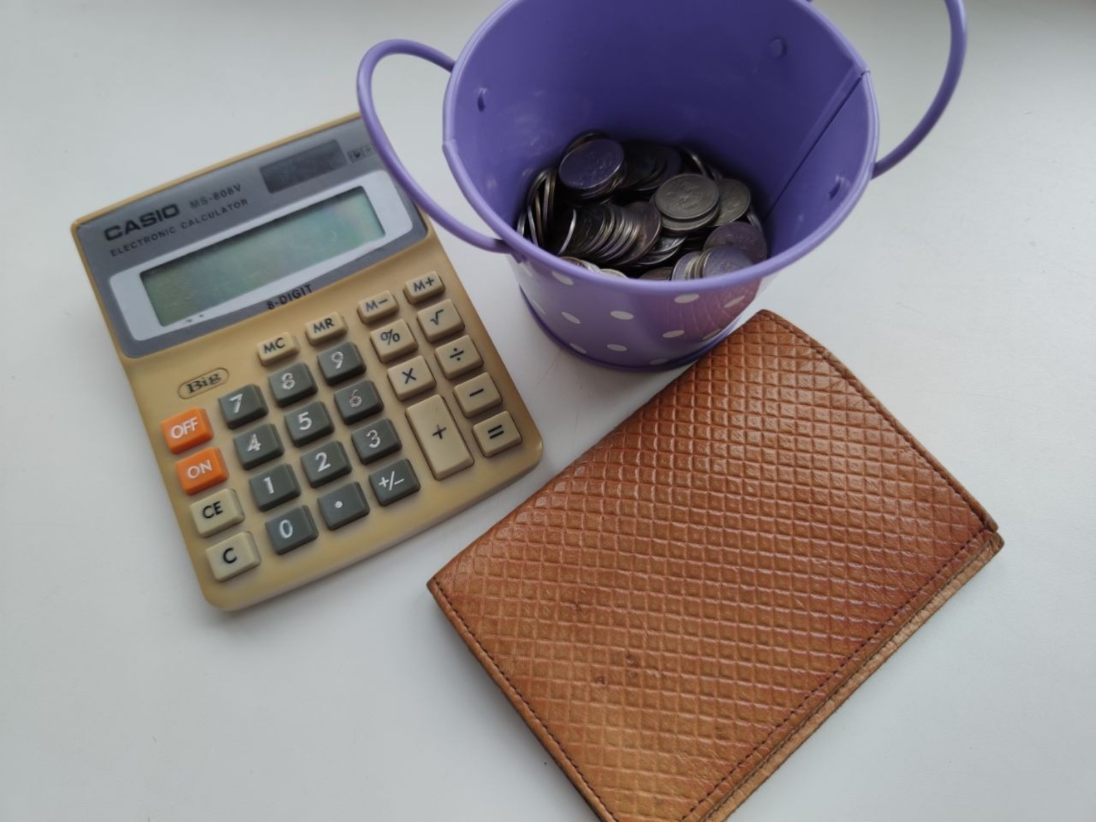 Дарьи Святохиной.