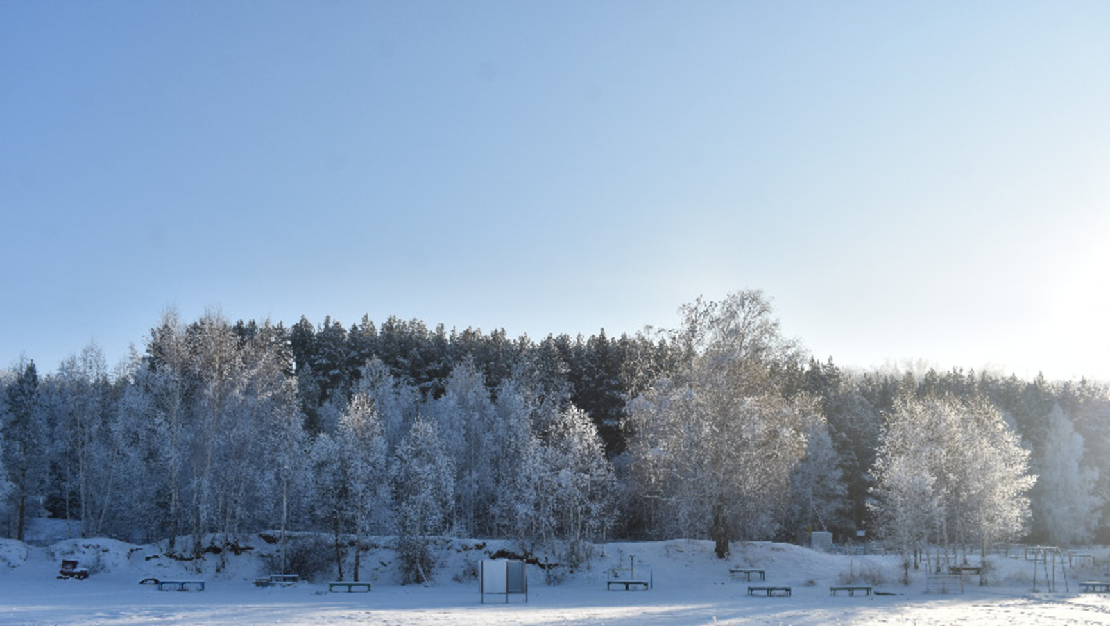 Елены Колоколовой.