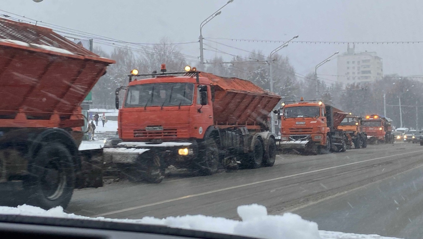 Елены Колоколовой.