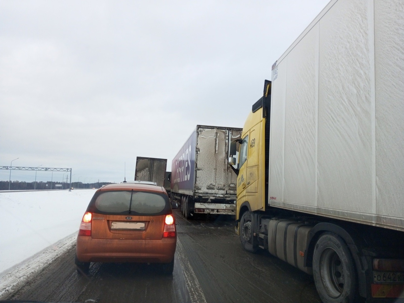 Евгении Сюткиной.