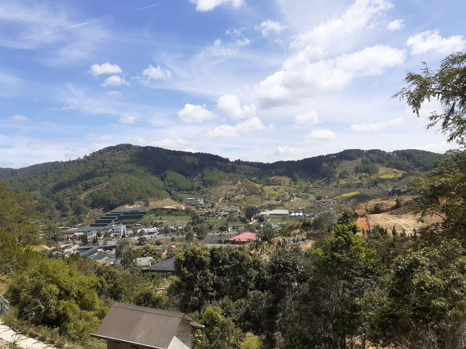 Владимира Шакиева. «Общественная электронная газета».