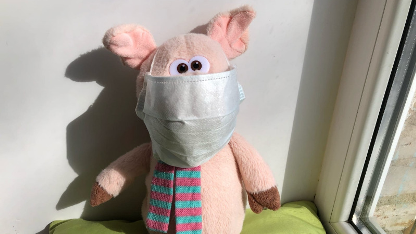 Елены Колоколовой.