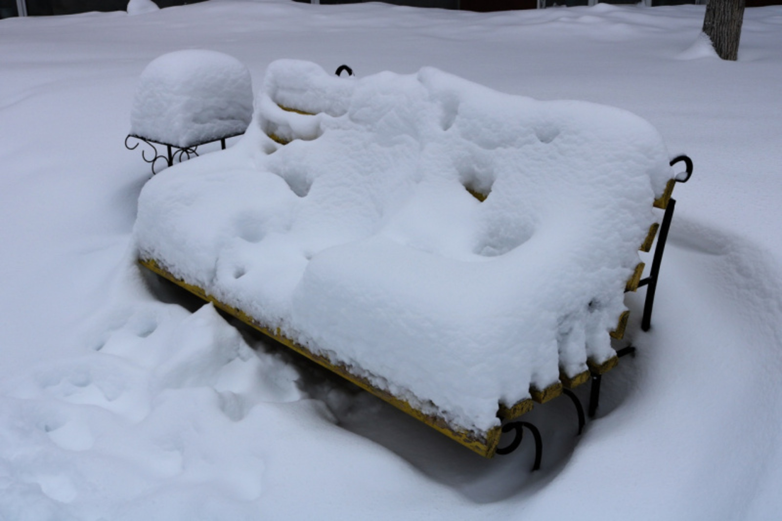 Фото Фарида Гильмиярова.