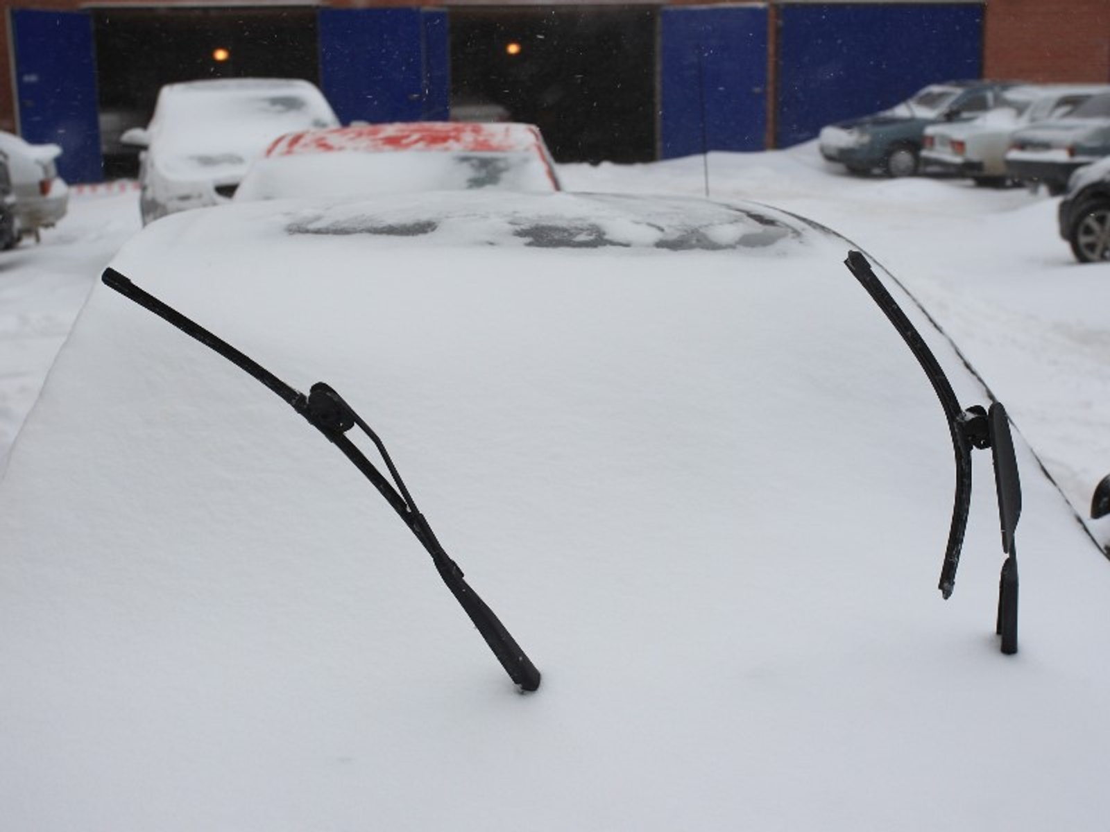 Фото Олега Яровикова.