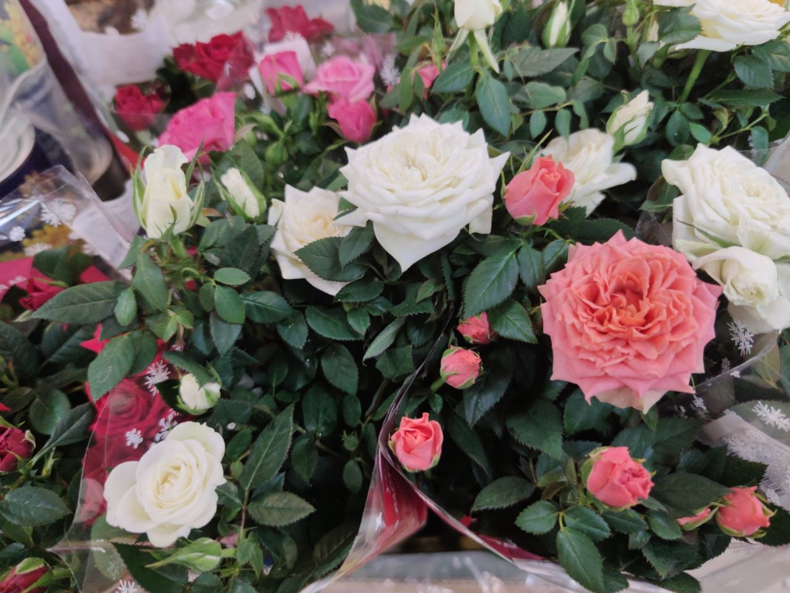 Дарьи Святохиной. «Общественная электронная газета».