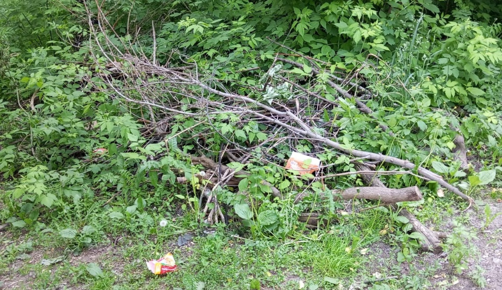 Евгении Сюткиной.