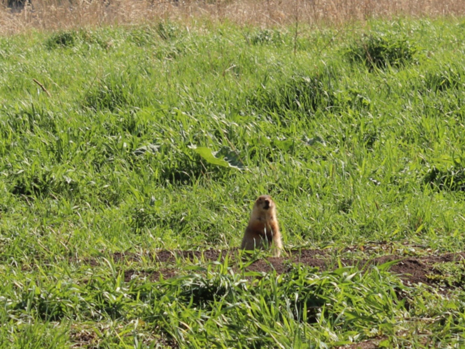 Дарьи Святохиной.