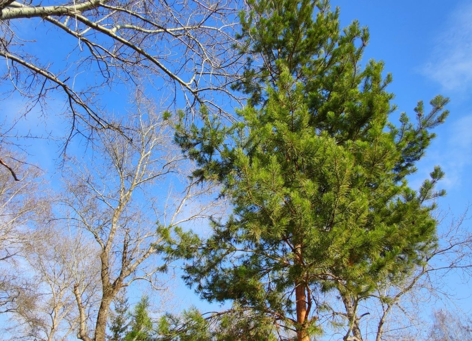 Дарьи Святохиной.