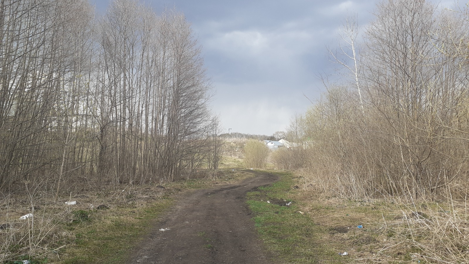 Владимира Шакиева.