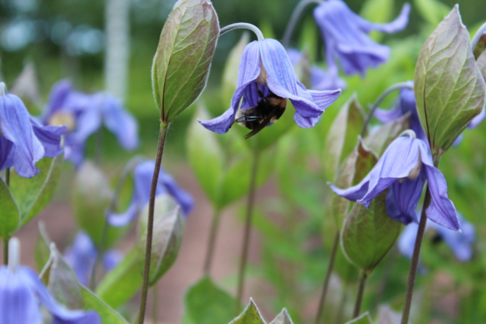 Фото автора.