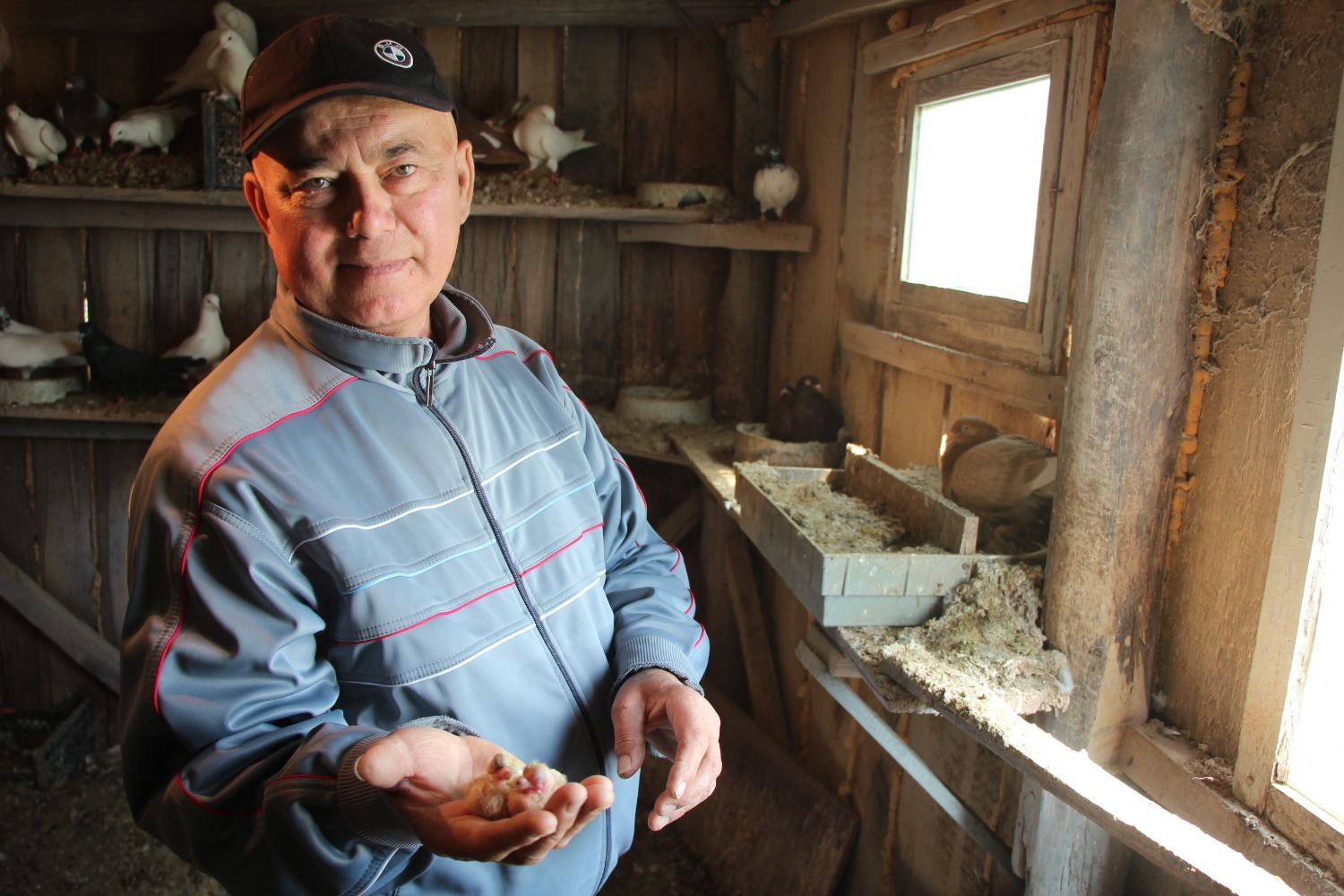 Евгении Сюткиной.