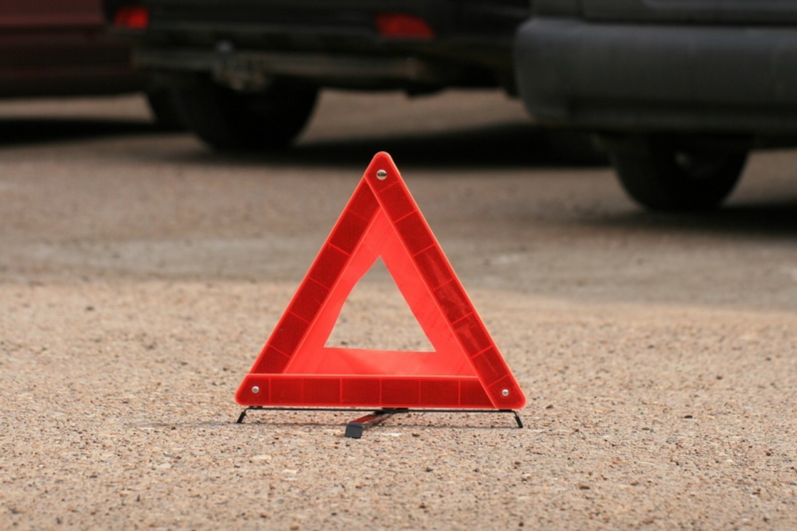 Фото Андрея Старостина.