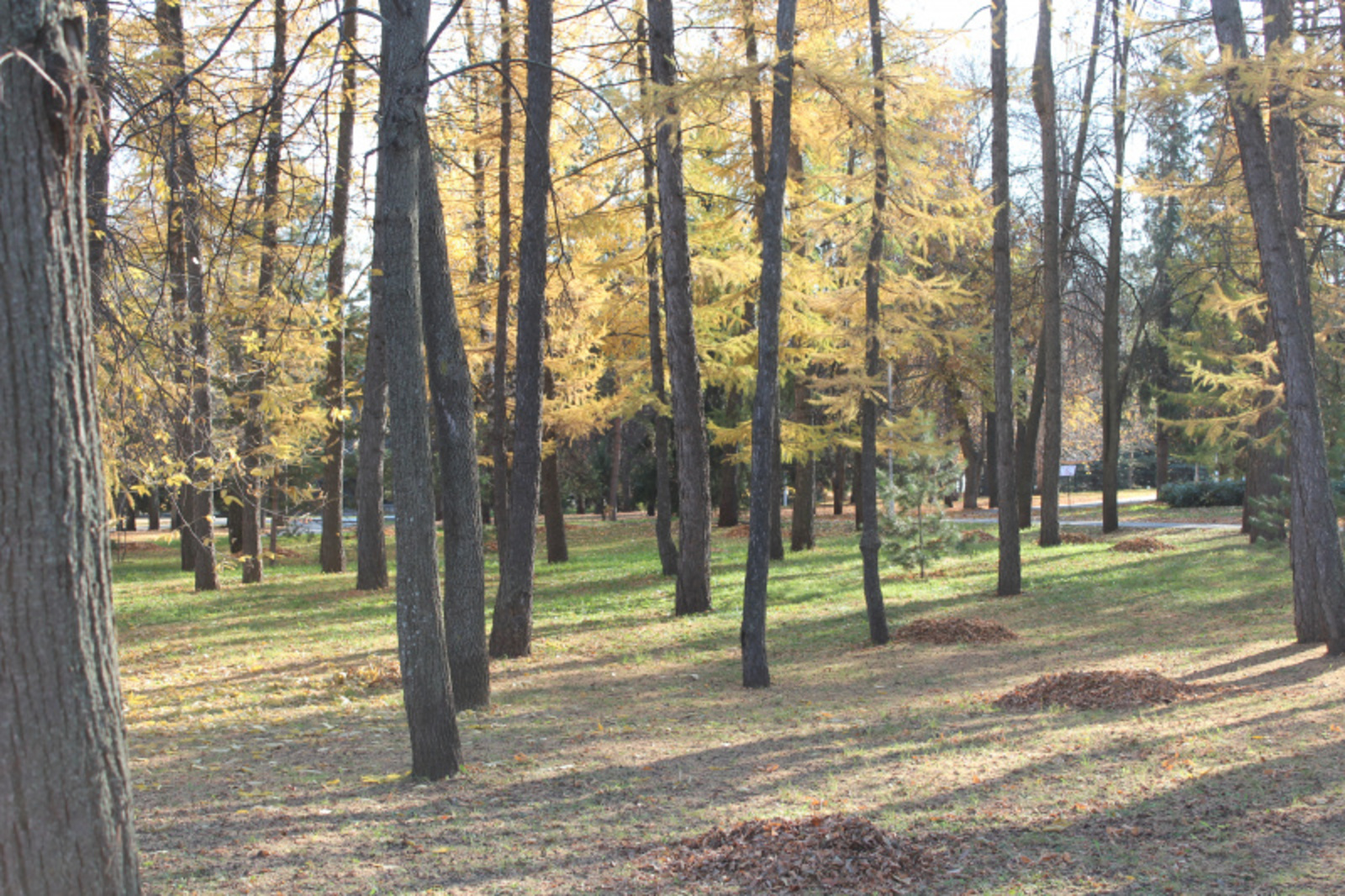 Фото автора.