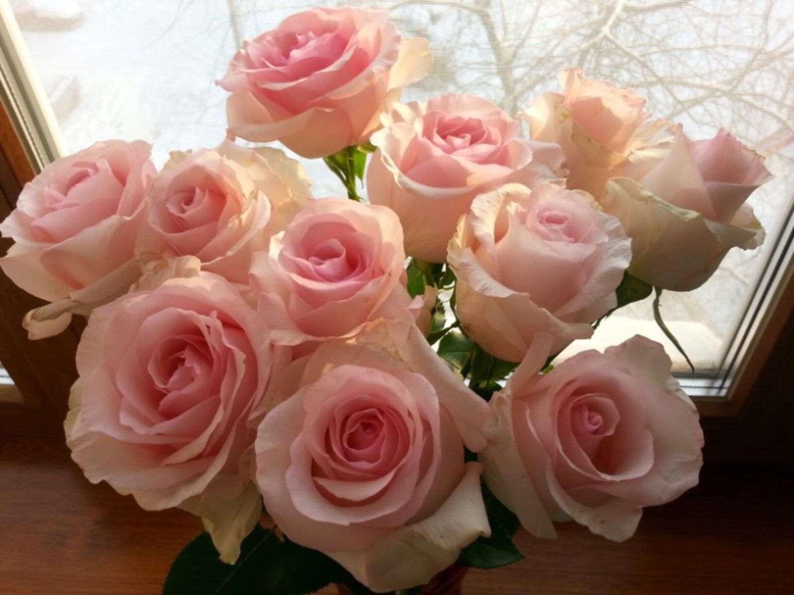 Дарьи Святохиной.