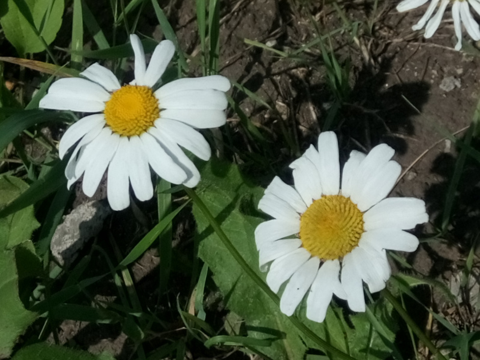 Фото Васили Саитовой.