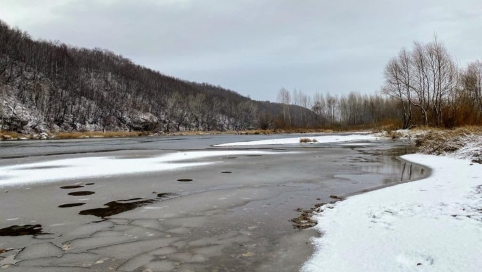 Елены Колоколовой.