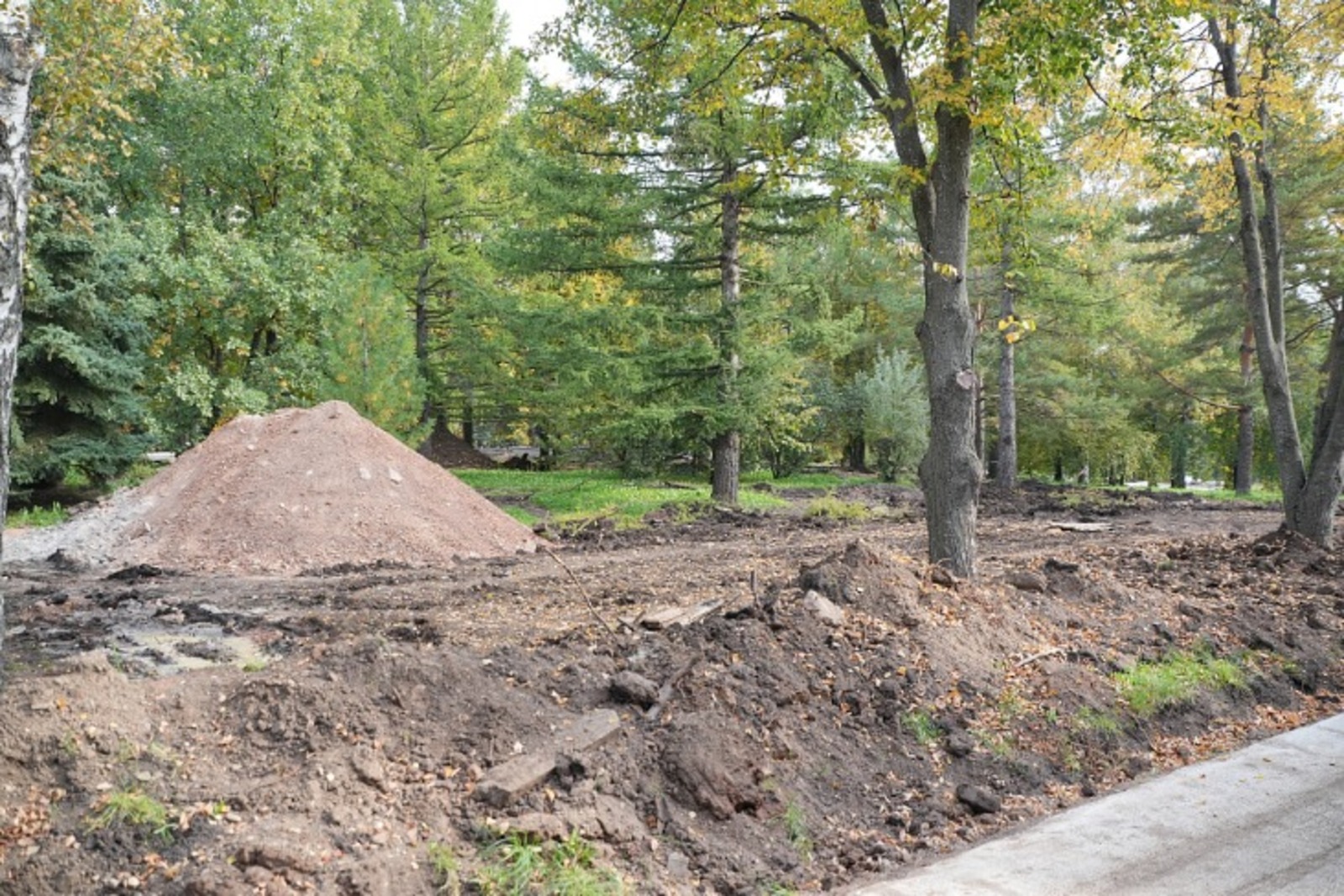 сайт glavarb.ru.