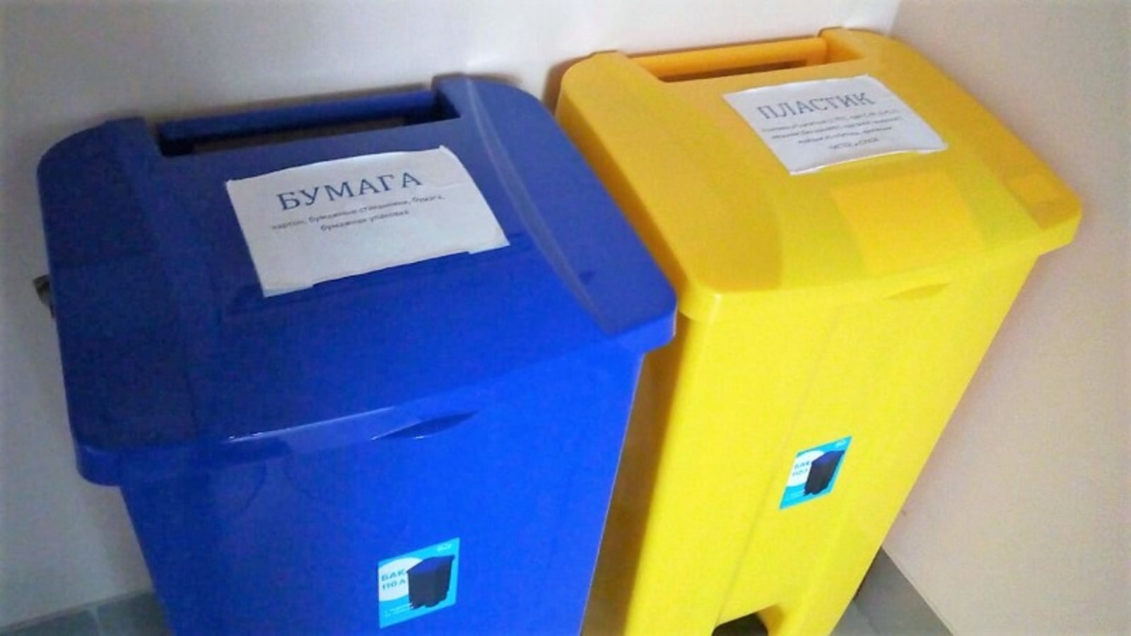 Евгении Сюткиной.