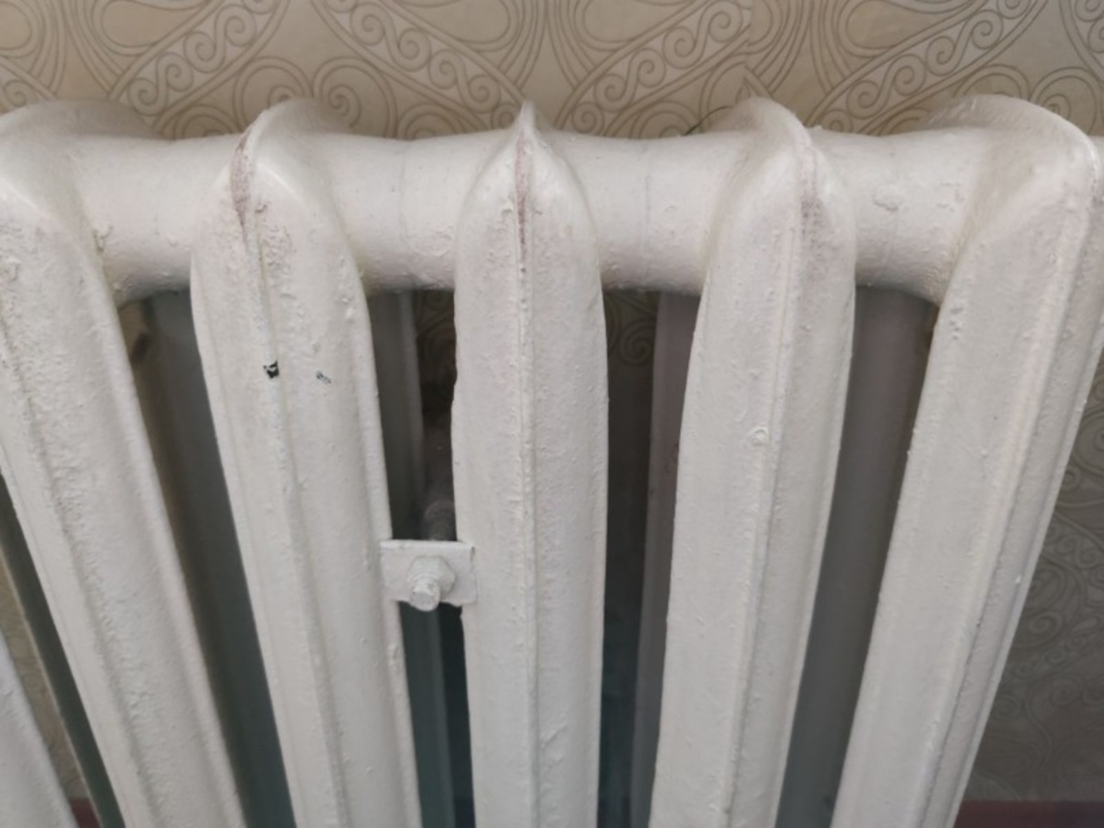 Дарьи Святохиной.