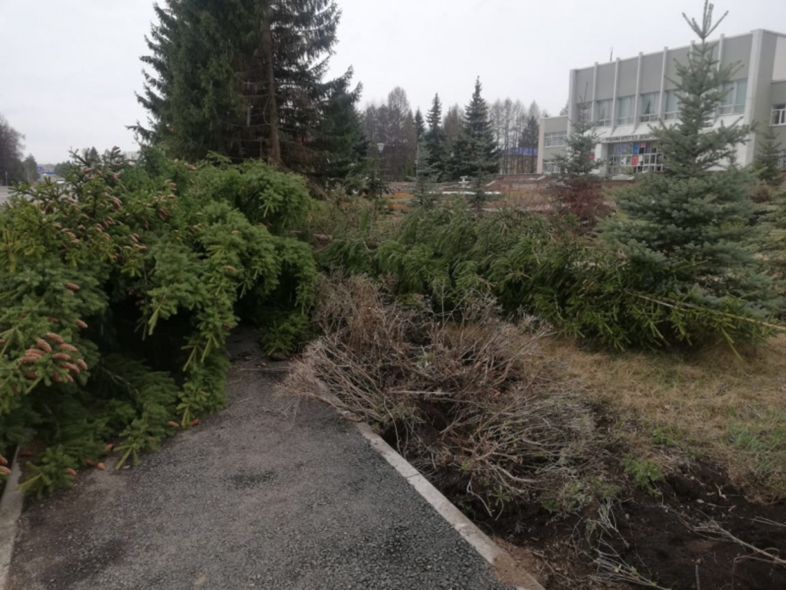 Фото предоставлено жителями села Кушнаренково.