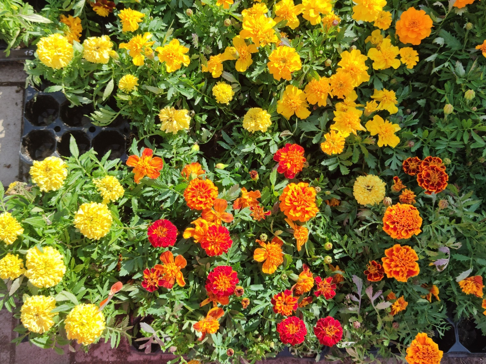 Дарьи Святохиной.