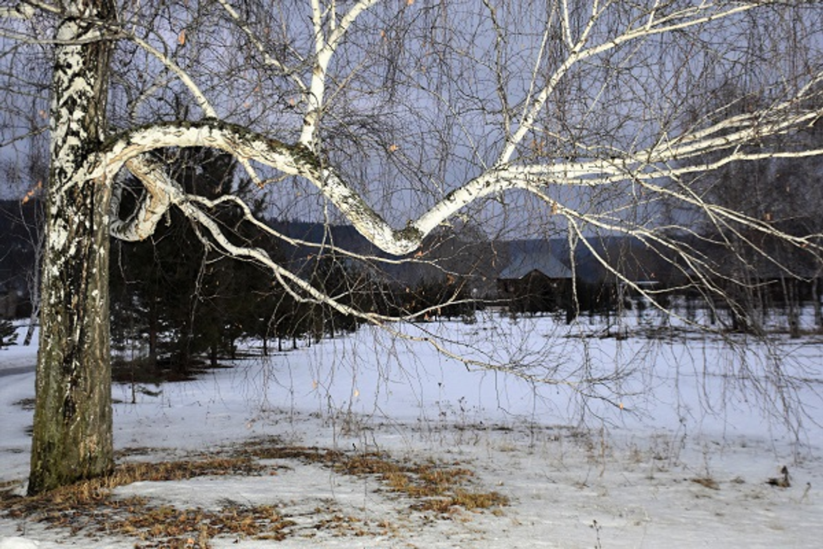 Фото Елены Колоколовой.