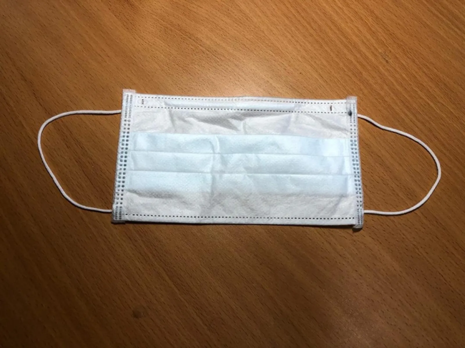 Фото Елены Колоколовой.