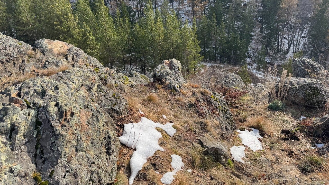 В Башкирии ожидаются снег и морозы
